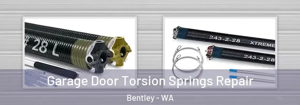  Garage Door Torsion Springs Repair Bentley - WA