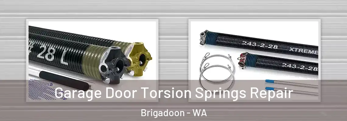 Garage Door Torsion Springs Repair Brigadoon - WA