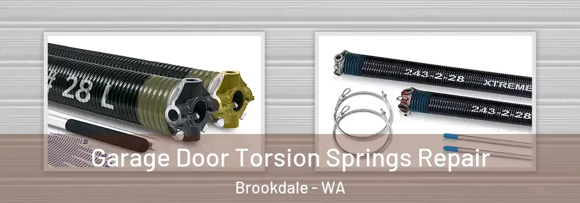  Garage Door Torsion Springs Repair Brookdale - WA