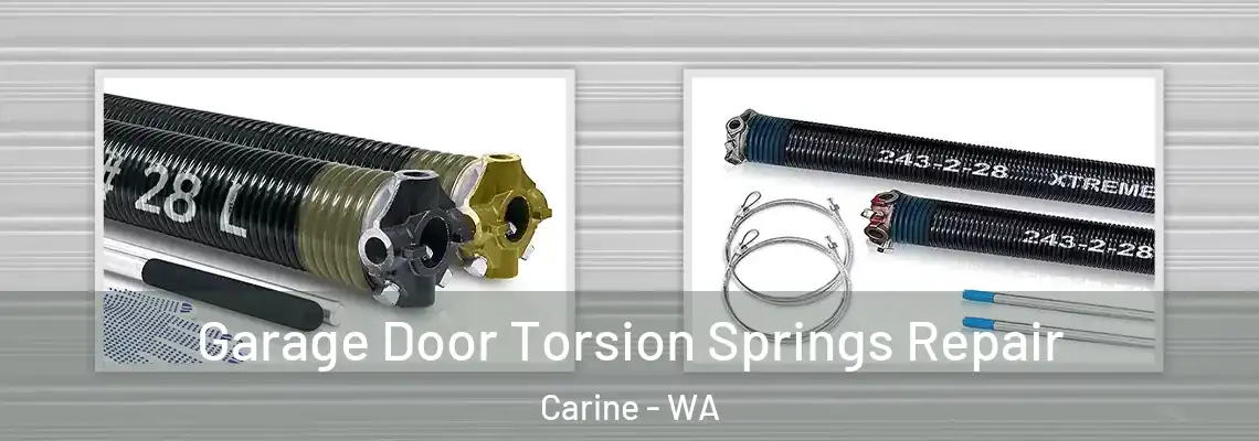  Garage Door Torsion Springs Repair Carine - WA
