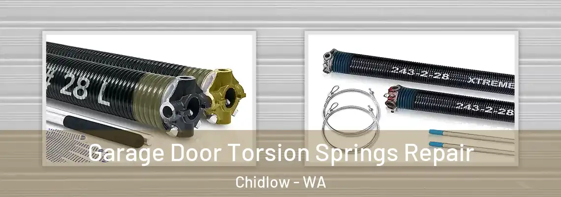Garage Door Torsion Springs Repair Chidlow - WA