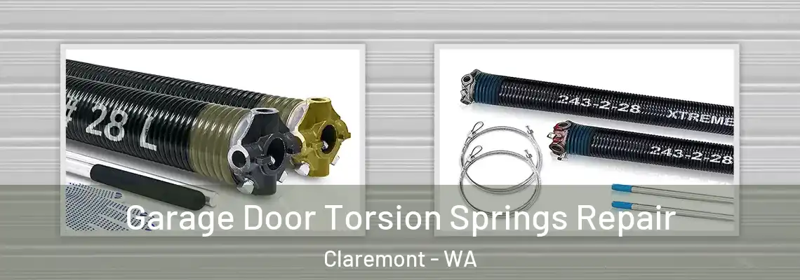  Garage Door Torsion Springs Repair Claremont - WA