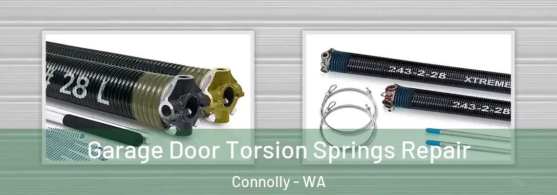  Garage Door Torsion Springs Repair Connolly - WA