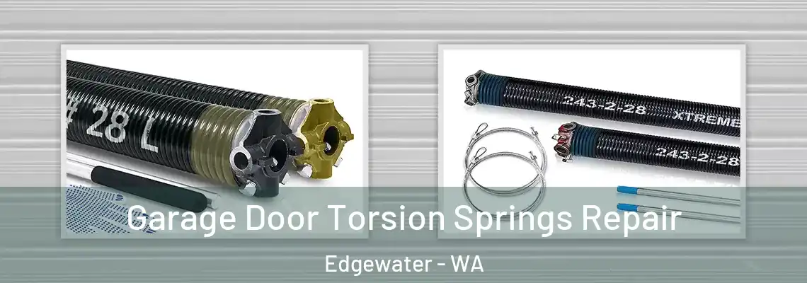  Garage Door Torsion Springs Repair Edgewater - WA