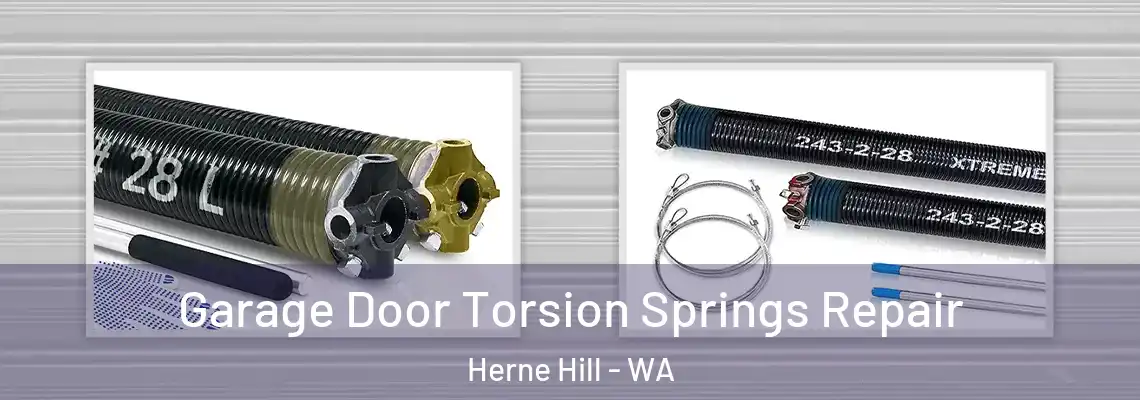  Garage Door Torsion Springs Repair Herne Hill - WA