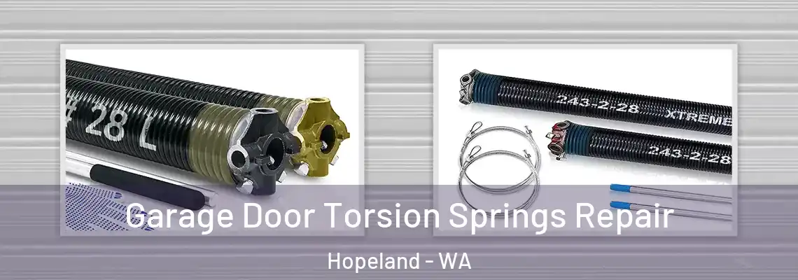  Garage Door Torsion Springs Repair Hopeland - WA