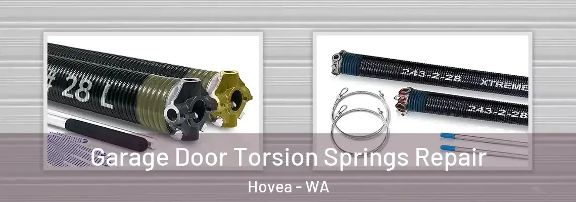  Garage Door Torsion Springs Repair Hovea - WA
