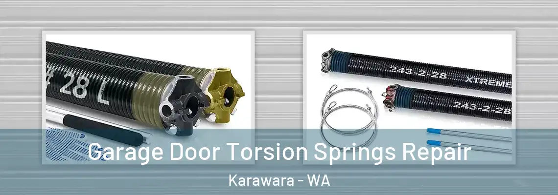  Garage Door Torsion Springs Repair Karawara - WA