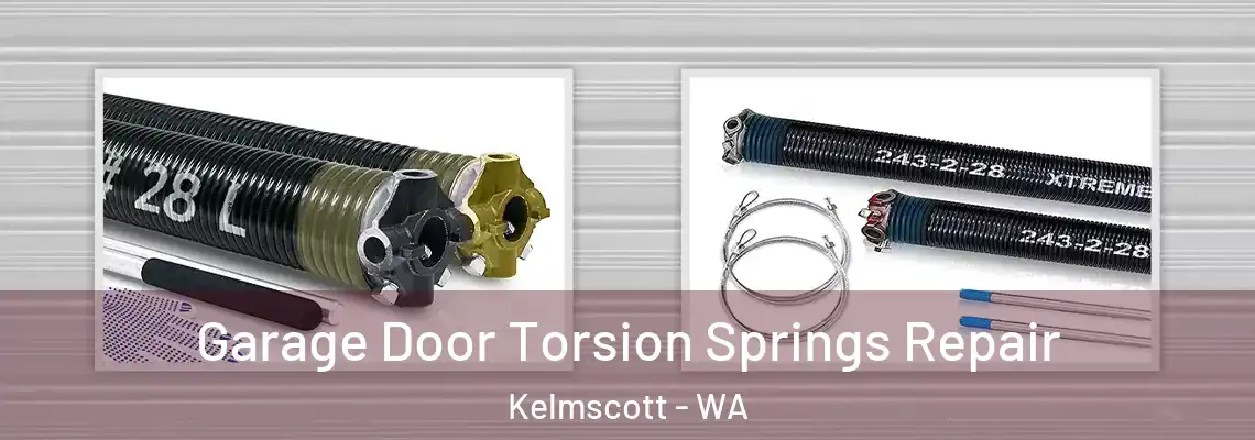  Garage Door Torsion Springs Repair Kelmscott - WA