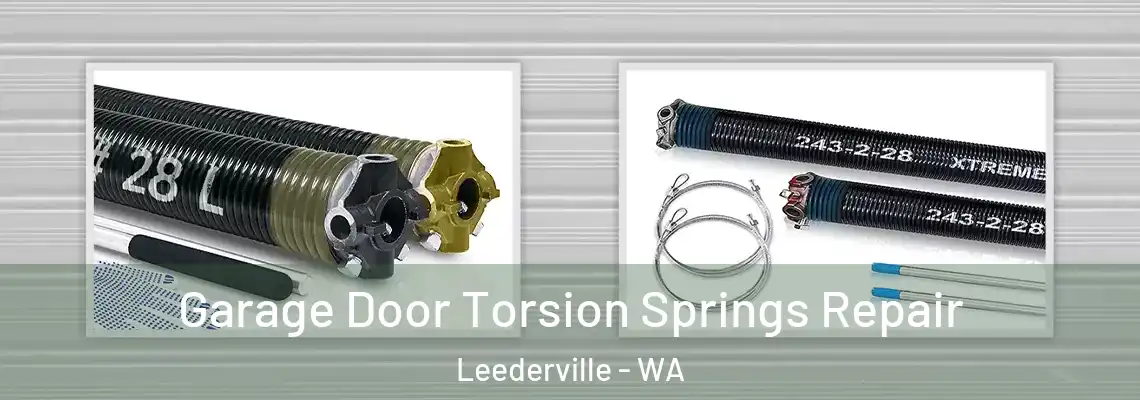  Garage Door Torsion Springs Repair Leederville - WA
