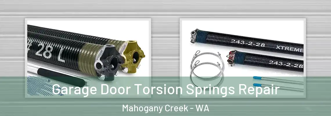  Garage Door Torsion Springs Repair Mahogany Creek - WA