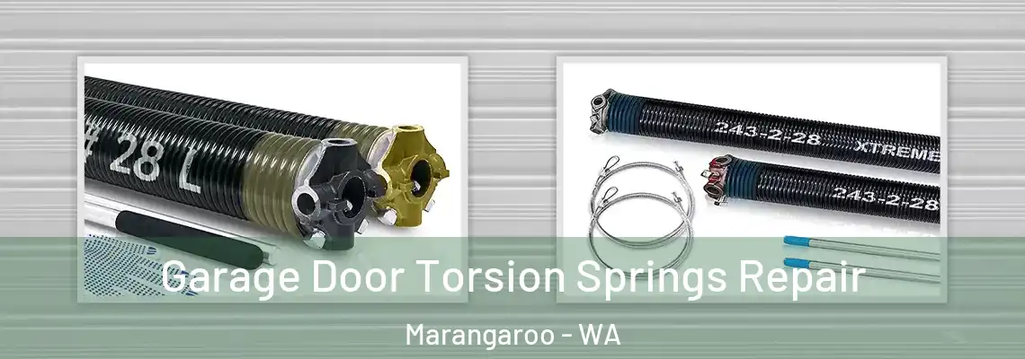  Garage Door Torsion Springs Repair Marangaroo - WA