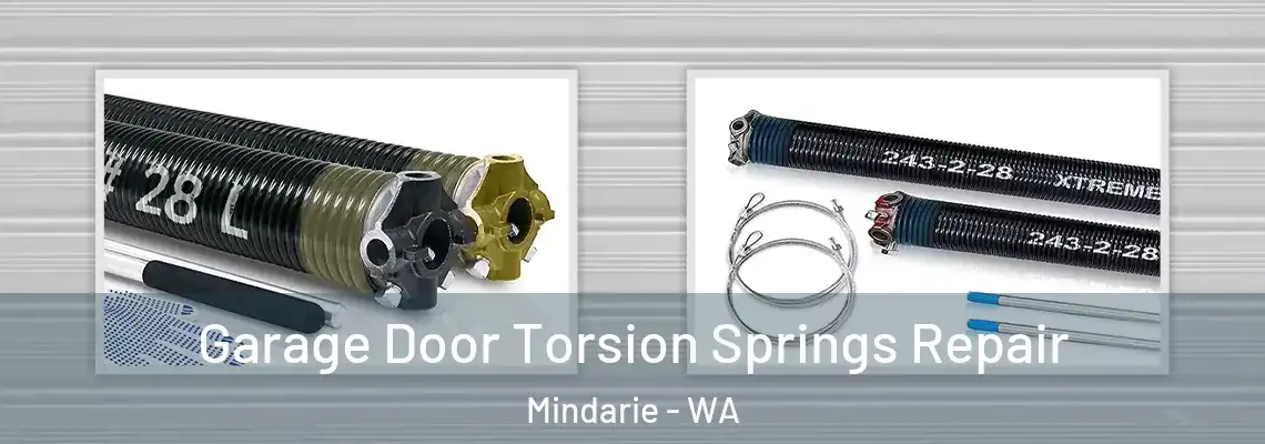  Garage Door Torsion Springs Repair Mindarie - WA