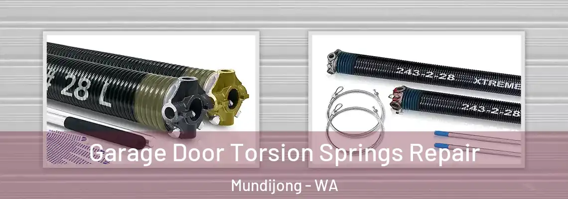 Garage Door Torsion Springs Repair Mundijong - WA