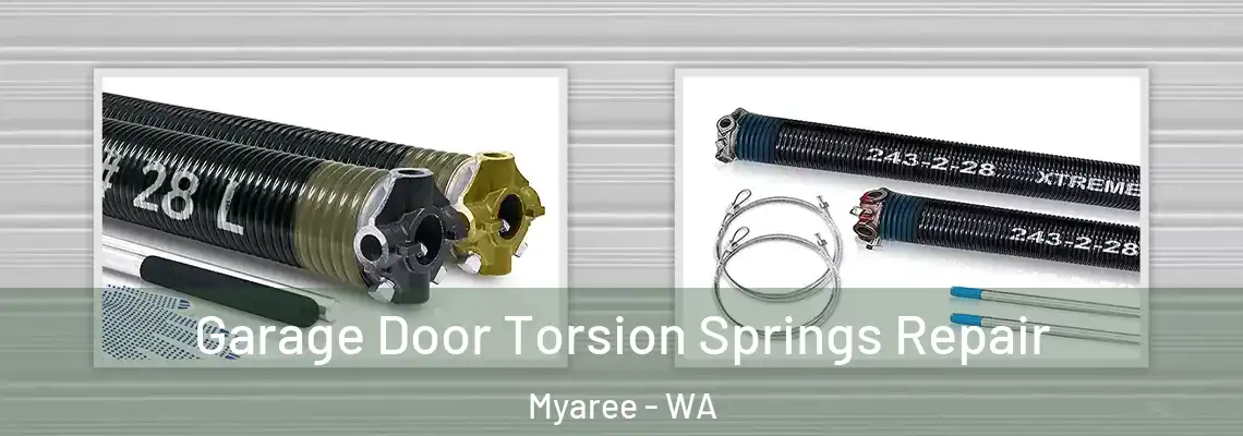  Garage Door Torsion Springs Repair Myaree - WA