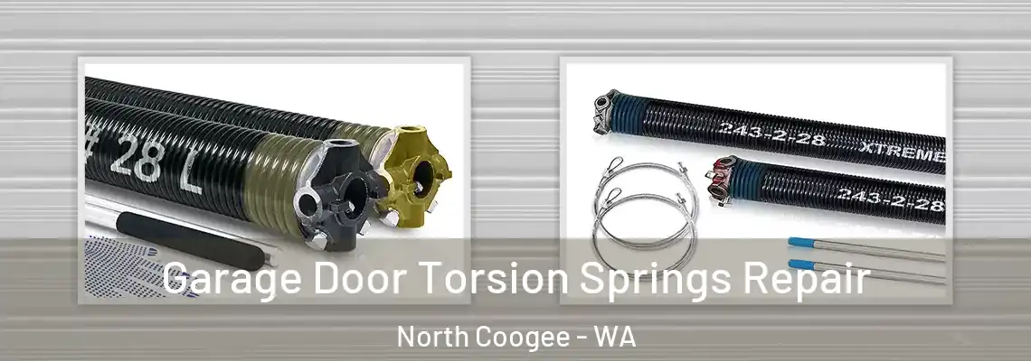  Garage Door Torsion Springs Repair North Coogee - WA