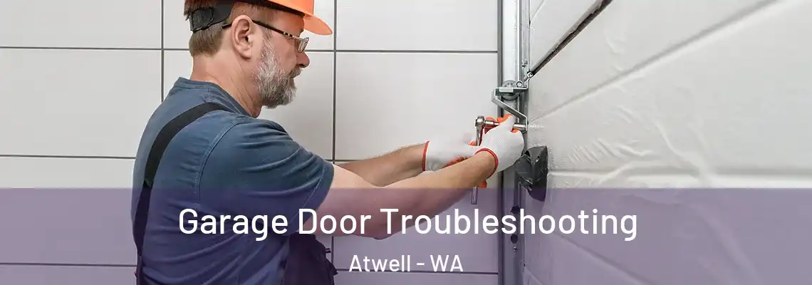  Garage Door Troubleshooting Atwell - WA