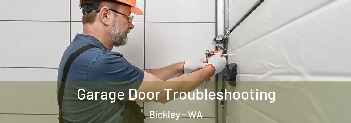  Garage Door Troubleshooting Bickley - WA