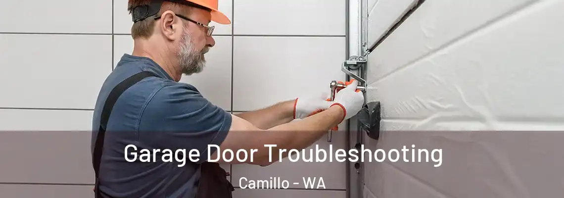  Garage Door Troubleshooting Camillo - WA