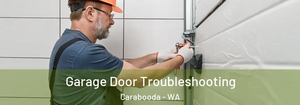  Garage Door Troubleshooting Carabooda - WA
