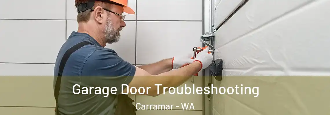Garage Door Troubleshooting Carramar - WA