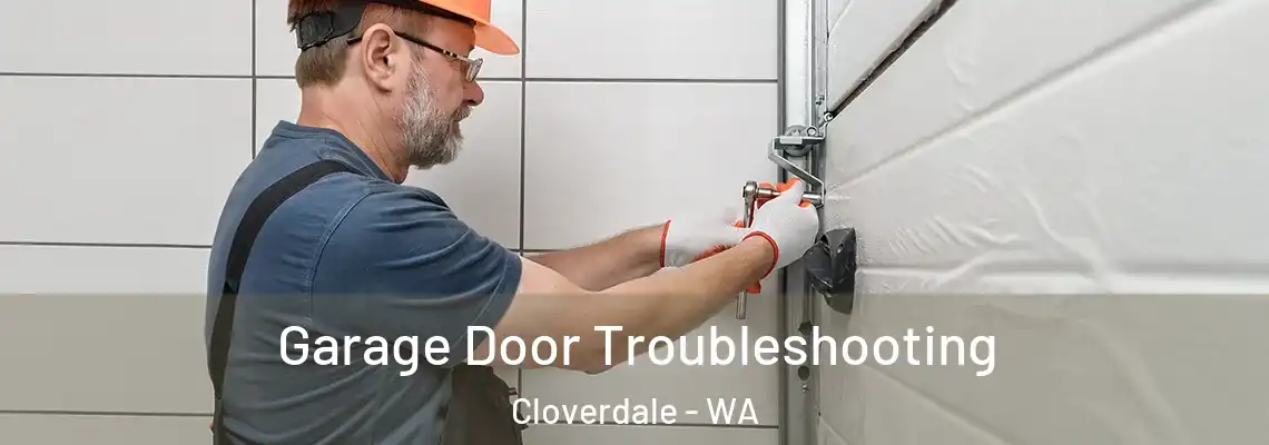  Garage Door Troubleshooting Cloverdale - WA