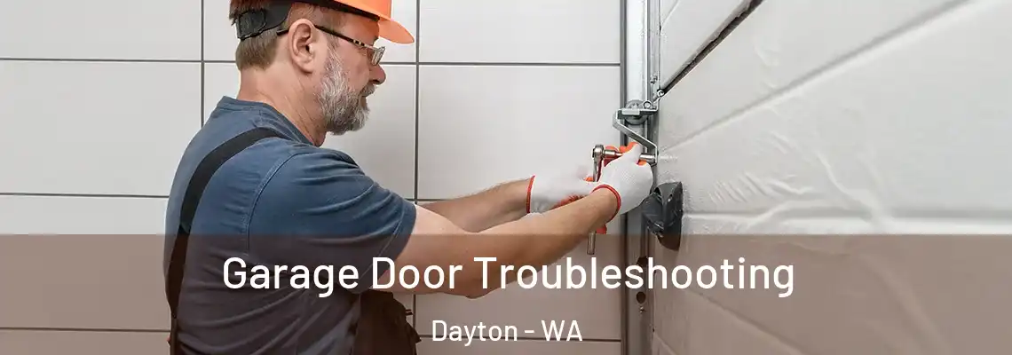  Garage Door Troubleshooting Dayton - WA