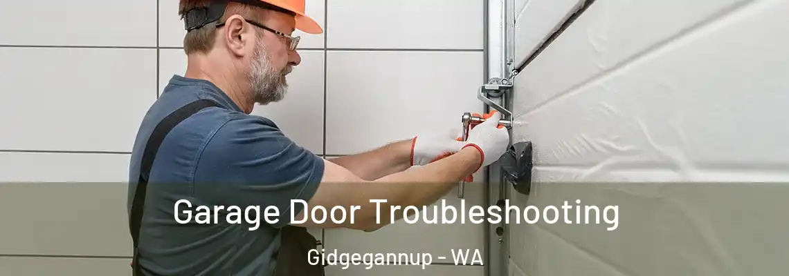 Garage Door Troubleshooting Gidgegannup - WA