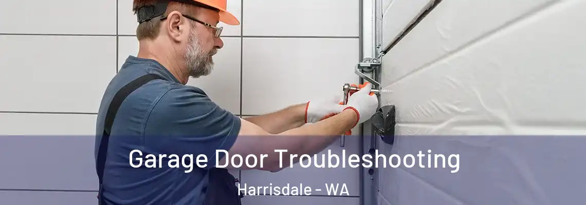  Garage Door Troubleshooting Harrisdale - WA