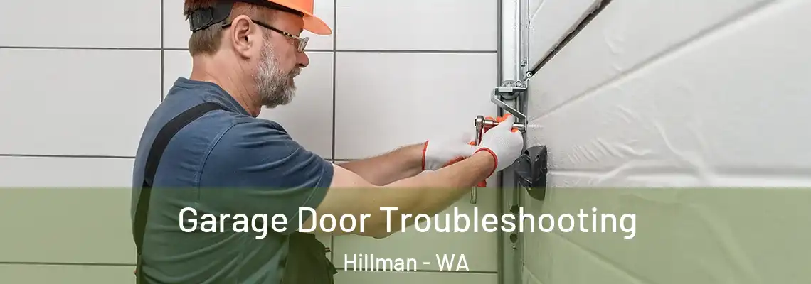  Garage Door Troubleshooting Hillman - WA
