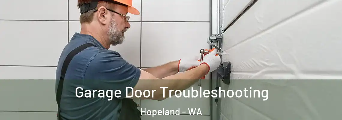  Garage Door Troubleshooting Hopeland - WA
