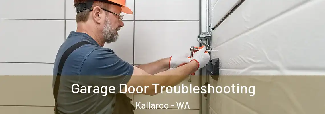Garage Door Troubleshooting Kallaroo - WA