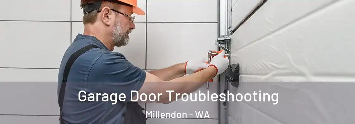  Garage Door Troubleshooting Millendon - WA