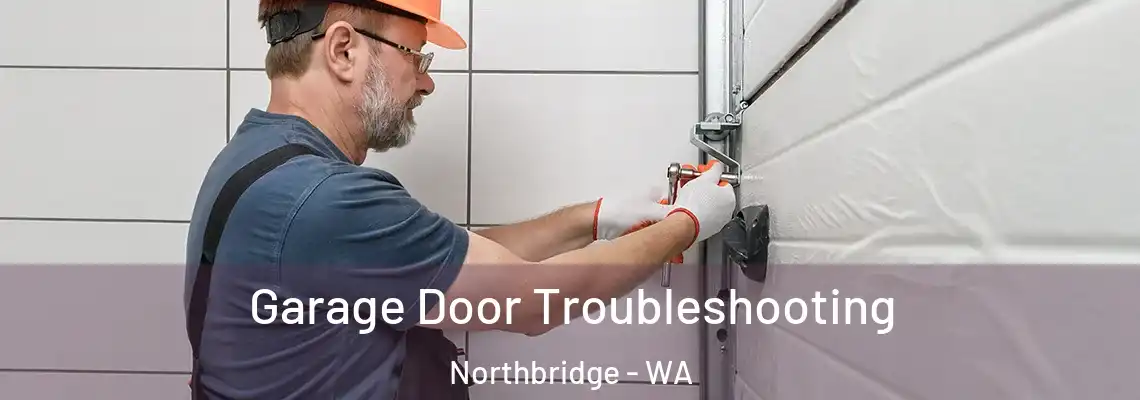  Garage Door Troubleshooting Northbridge - WA