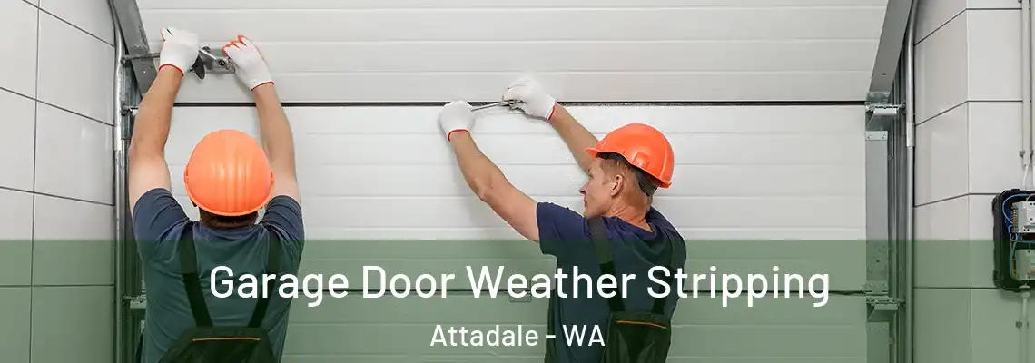 Garage Door Weather Stripping Attadale - WA