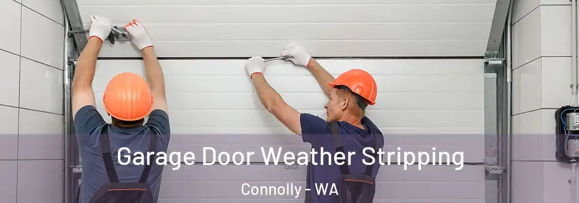  Garage Door Weather Stripping Connolly - WA
