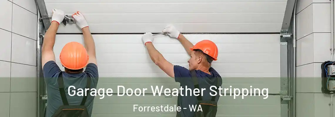  Garage Door Weather Stripping Forrestdale - WA