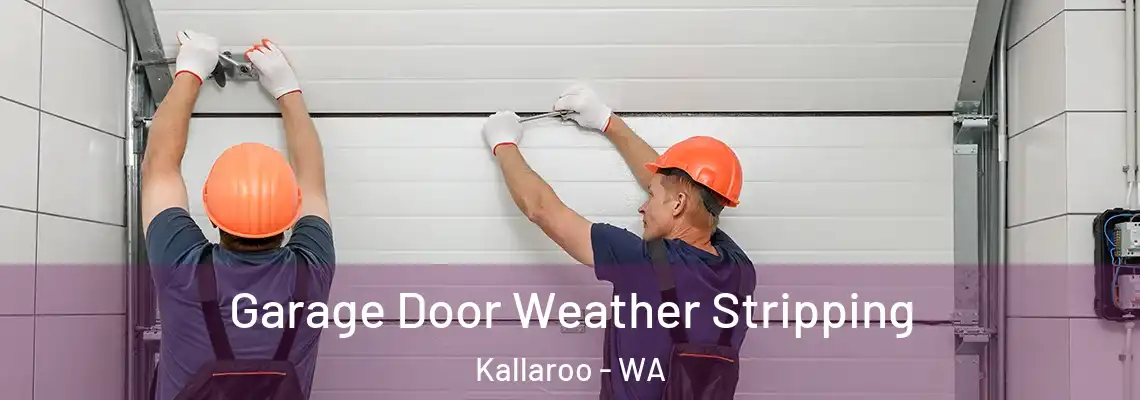 Garage Door Weather Stripping Kallaroo - WA