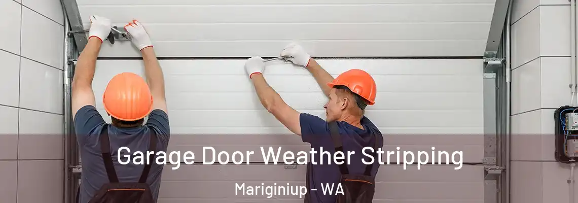  Garage Door Weather Stripping Mariginiup - WA