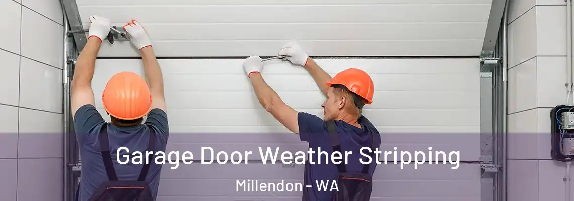  Garage Door Weather Stripping Millendon - WA