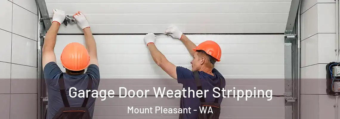 Garage Door Weather Stripping Mount Pleasant - WA