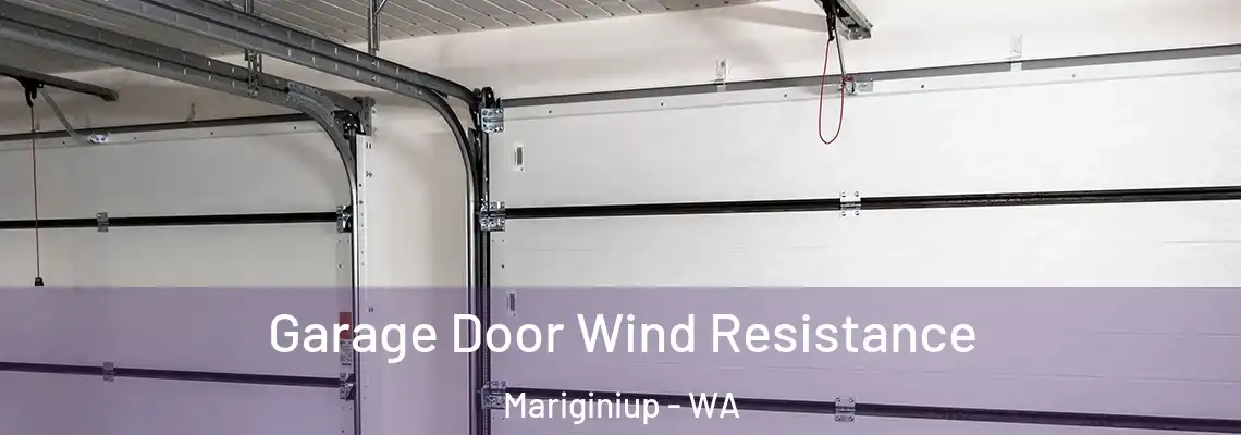  Garage Door Wind Resistance Mariginiup - WA