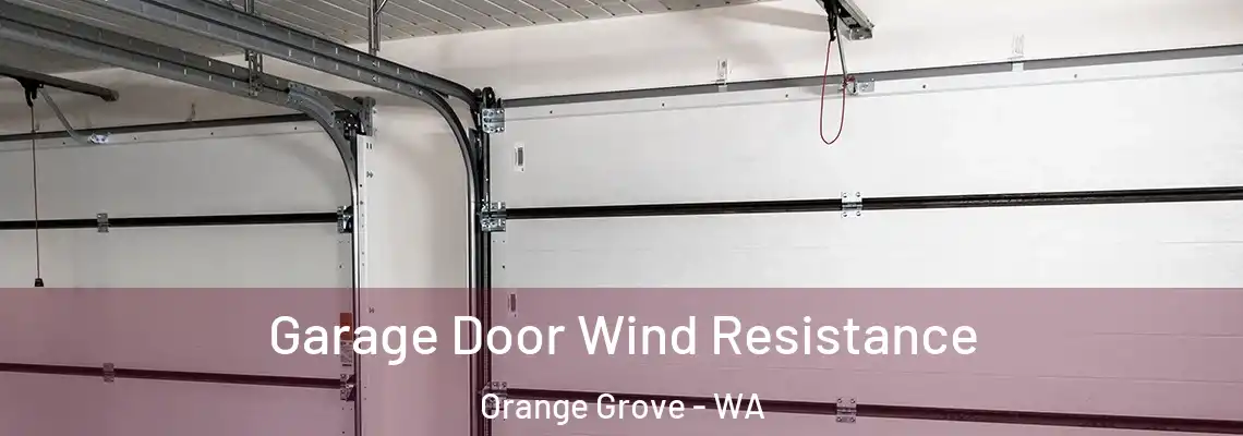  Garage Door Wind Resistance Orange Grove - WA