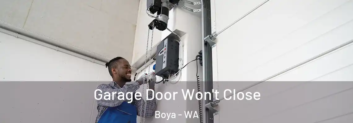 Garage Door Won't Close Boya - WA