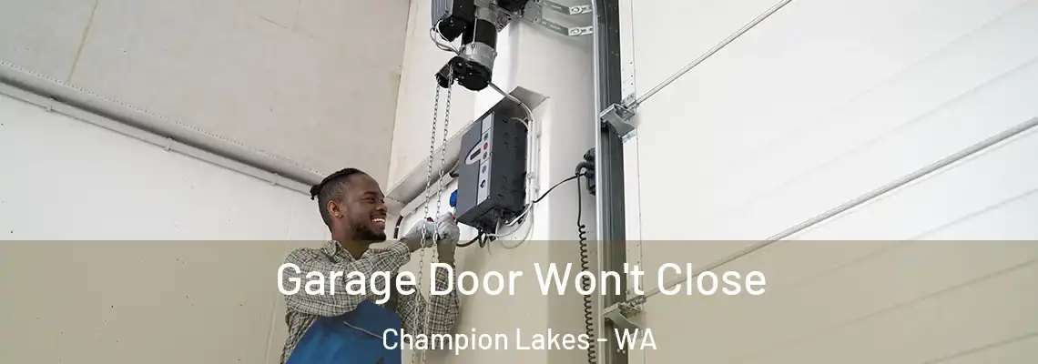  Garage Door Won't Close Champion Lakes - WA