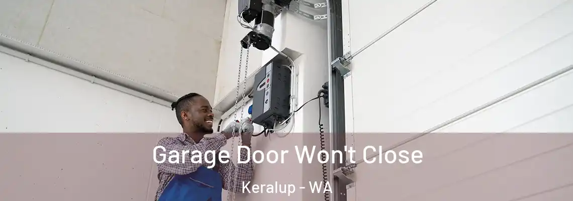 Garage Door Won't Close Keralup - WA