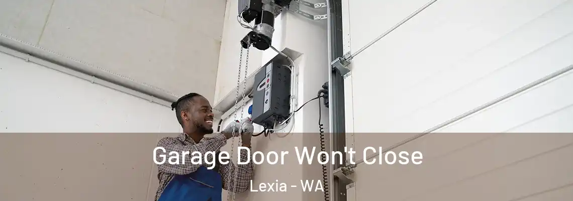 Garage Door Won't Close Lexia - WA