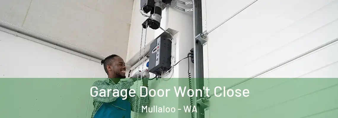  Garage Door Won't Close Mullaloo - WA