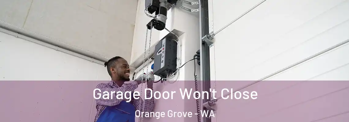  Garage Door Won't Close Orange Grove - WA
