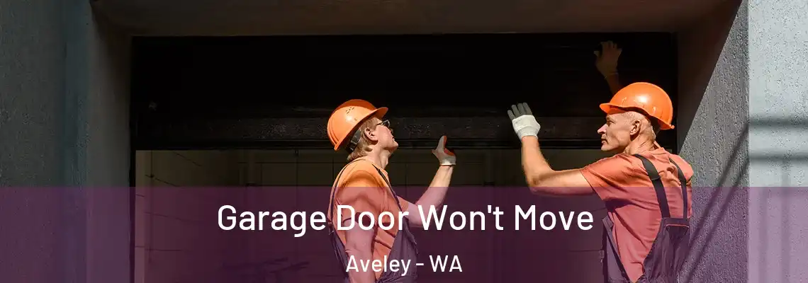  Garage Door Won't Move Aveley - WA